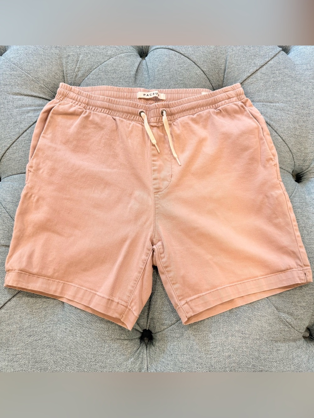 PacSun Volley Shorts